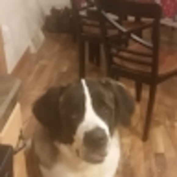 Meet your Posher, Nichole - Picture 1 of 1